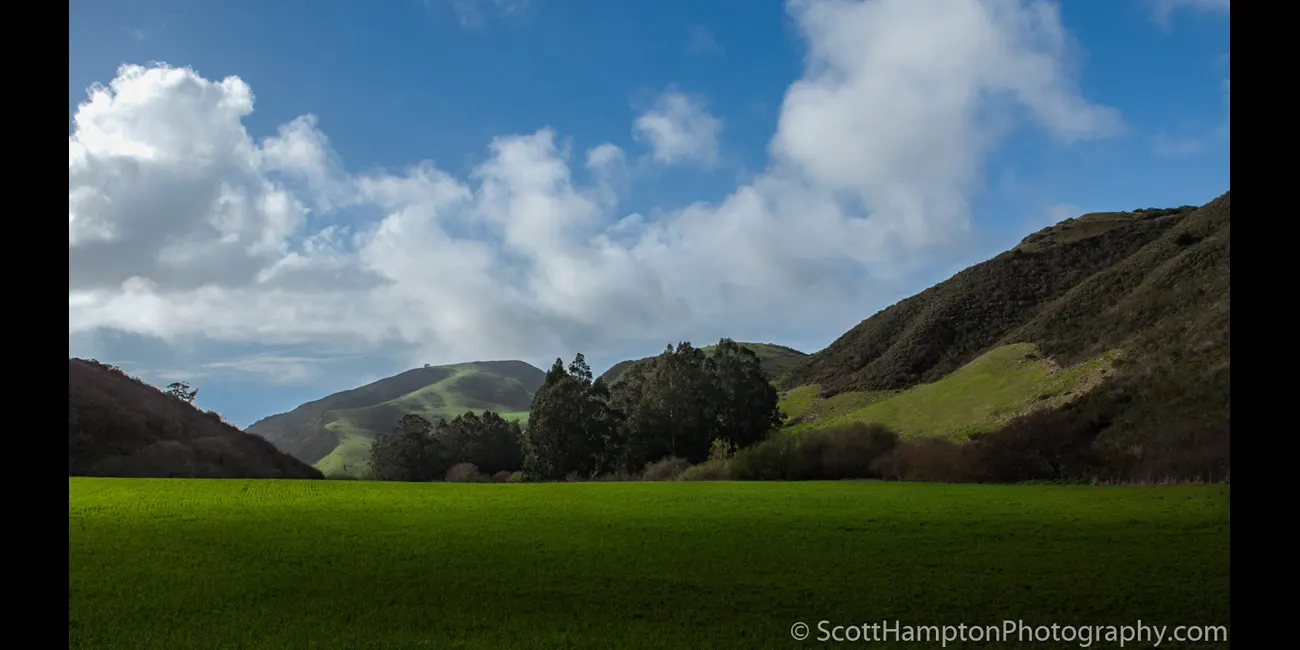 Sundance on a Green Field