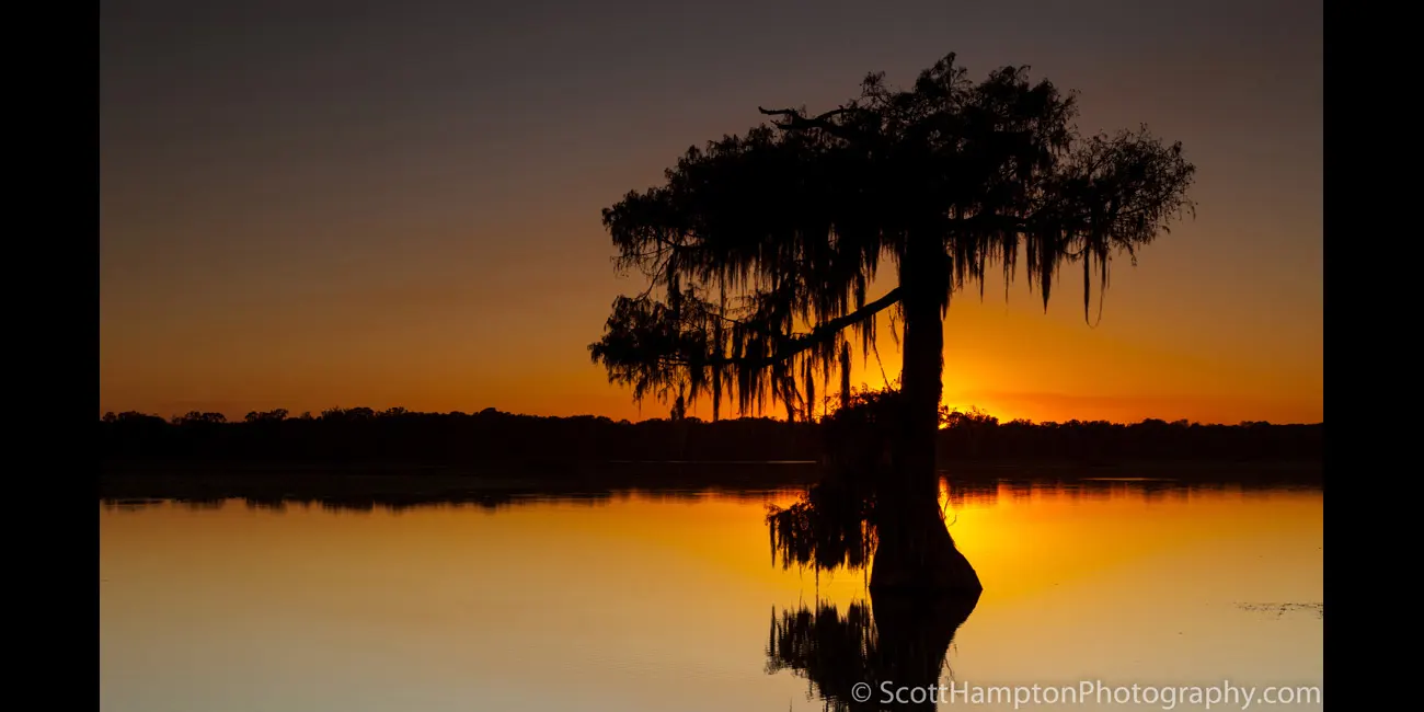 Atchafalaya Basin, Louisiana