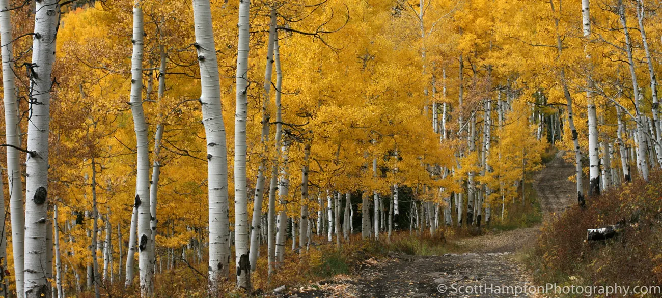 Aspen Road, Colorado