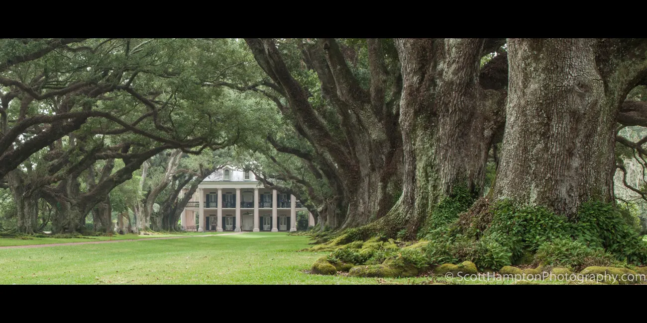 Oak Alley