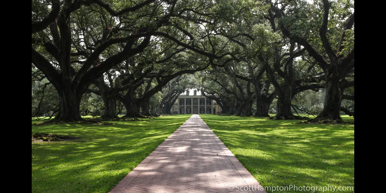 Oak Alley